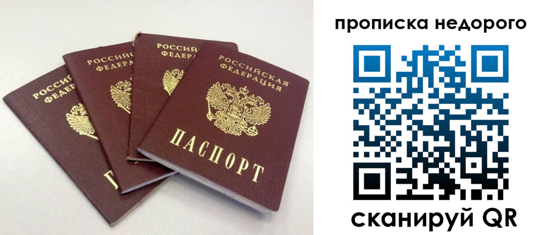 прописка законно в Емве
